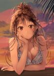  1girl :| absurdres arm_support bikini braid breasts brown_eyes brown_hair cleavage closed_mouth cloud cloudy_sky expressionless highres kanojo_okarishimasu large_breasts long_hair looking_at_viewer mijuruuu mizuhara_chizuru outdoors palm_tree ponytail sky solo swimsuit tree twilight upper_body 