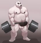  2022 anthro arm_hair balls barazoku barbell barefoot belly biceps big_belly big_muscles big_penis bin_(artist) black_eyebrows body_hair chest_hair claws deadlift erection exercise eyebrows facial_hair feet fur genitals grey_background happy_trail hi_res huge_muscles humanoid_feet humanoid_genitalia humanoid_penis leg_hair male mammal musclegut muscular muscular_anthro muscular_male navel nipples nude pecs penis plantigrade polar_bear pubes simple_background smile solo standing thick_thighs tuft ursid ursine weightlifting white_body white_fur workout 