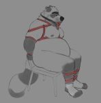  2022 anthro ball_gag bdsm belly big_belly bondage bound chair furniture gag hi_res horrorbuns male mammal moobs nipples overweight overweight_male procyonid raccoon restraints rope rope_bondage rope_harness simple_background sitting solo 