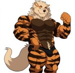  2025 abs anthro anthrofied arcanine biceps black_clothing black_underwear bulge clothed clothing darknaigart flexing fur generation_1_pokemon hi_res male muscular muscular_anthro muscular_male nintendo pecs pokemon pokemon_(species) simple_background solo striped_body striped_fur stripes topless topless_anthro topless_male underwear underwear_only white_background 