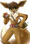 2025 :3 absurd_res anthro belt big_tail brown_body brown_fur brown_hair chest_tuft collar eevee featureless_crotch fluffy front_view fur generation_1_pokemon hair half-length_portrait hi_res holding_object holding_pokeball maimoonrabbit male mostly_nude nintendo pokeball pokemon pokemon_(species) portrait short_hair sling_bag smile solo standing tail tuft vee_(chaotic_iak)