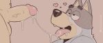 2026 after_oral after_orgasm after_sex anthro anthro_on_anthro australian_cattle_dog balls bandit_heeler big_balls big_penis bird_dog bluey_(series) blush bodily_fluids canid canine canis cattledog cum cum_in_mouth cum_inside cum_on_own_penis cum_on_partner cum_on_penis cum_on_self cum_on_tongue cum_string digitslayer domestic_dog duo erection eye_roll eyebrows fur genital_fluids genitals glans golden_retriever heart_symbol herding_dog hi_res humanoid_genitalia humanoid_penis hunting_dog looking_pleasured male male/male mammal narrowed_eyes nude open_mouth open_smile pastoral_dog pat_(bluey) penis retriever simple_background smile solo_focus tan_background teeth text thick_penis tongue tuft url vein