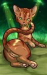  anus felid feline female feral feralkuro forest forest_background genitals hi_res leafpool_(warriors) mammal nature nature_background paws plant pussy solo tree warriors_(cats) 