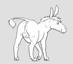  2022 anatomically_correct anatomically_correct_anus anatomically_correct_genitalia anatomically_correct_pussy animal_genitalia animal_pussy anus asinus butt causationcorrelation digital_drawing_(artwork) digital_media_(artwork) donkey equid equine equine_anus equine_pussy female feral genitals mammal mane nipples presenting presenting_anus presenting_hindquarters presenting_pussy pussy quadruped raised_tail simple_background solo tail_tuft teats tuft 