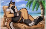  anthro balls beach canid canine canis deckchair domestic_dog genitals german_shepherd gevual herding_dog male mammal muscular nude outside palm_tree pastoral_dog paws plant reposlegend seaside sitting solo tree 