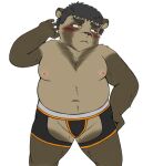  2022 anthro belly blush brown_body brown_fur canid canine clothing fur jackboot_ihi male mammal navel nipples overweight raccoon_dog solo tanuki underwear 