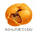  food fruit lowres no_humans orange original tochimiki_(toichi) translated 