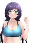  1girl aqua_eyes bangs bare_shoulders blue_bra blush bra breasts claw_pose cleavage grin highres kooei large_breasts long_hair looking_at_viewer love_live! love_live!_school_idol_project low_twintails navel parted_bangs purple_hair simple_background smile solo sports_bra swept_bangs toujou_nozomi twintails underwear upper_body white_background 