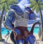  abs anthro beach biceps blue_background blue_body body_hair bulge clothed clothing detailed_background dinosaur eyewear eyewear_on_head glasses hi_res lifeguard looking_at_viewer male muscular muscular_anthro muscular_male nipples pecs pinumontbalou red_clothing reptile scalie seaside shirt simple_background smile solo spinosaurid spinosaurus sunglasses sunglasses_on_head swimming_trunks swimwear theropod topwear underwear vein veiny_arms veiny_muscles wet wet_body wet_clothing wet_underwear whistle 