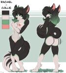  absurd_res blush breasts butt canid canine canis collie conrie covering domestic_dog female genitals herding_dog hi_res mammal model_sheet nude pastoral_dog pussy sheepdog shy solo 