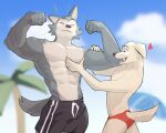  &lt;3 2022 abs anthro anthro_on_anthro barazoku beastars bicep_grab biceps big_muscles bird_dog blurred_background canid canine canis clothed clothing cloud day domestic_dog duo emanata eyes_closed fist flexing fur furgonomics hand_on_arm hand_on_chest hi_res hunting_dog jack_(beastars) jrjresq labrador legoshi_(beastars) male male/male mammal motion_lines muscle_worship muscular muscular_anthro muscular_male navel obliques open_mouth open_smile outside palm_tree pec_grasp pecs plant retriever scar size_difference sky smile speedo standing swimming_trunks swimwear tail_motion tailwag teeth tongue topless topless_anthro topless_male tree tuft wolf 