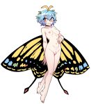  1girl antennae aqua_hair blush breasts butterfly_wings collarbone completely_nude eternity_larva fairy female_pubic_hair full_body hair_between_eyes leaf leaf_on_head navel nipples nude nyong_nyong open_mouth orange_eyes pubic_hair pussy short_hair simple_background small_breasts smile solo touhou white_background wings 