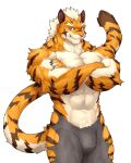  abs anthro captainjohkid clothed clothing felid fur hi_res looking_at_viewer male mammal muscular muscular_anthro muscular_male pantherine partially_clothed pecs solo striped_body striped_fur stripes tiger 