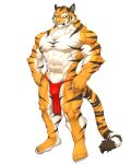  abs anthro bottomwear captainjohkid clothing felid fur hi_res loincloth male mammal muscular muscular_anthro muscular_male pantherine pecs solo striped_body striped_fur stripes tiger 