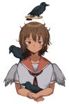  1girl angel angel_wings animal_on_shoulder bird bird_on_shoulder brown_eyes brown_hair commentary crow english_commentary feathered_wings grey_wings haibane_renmei hair_between_eyes hakyanshi halo highres light_frown looking_afar medium_hair messy_hair object_on_arm orange_sailor_collar perched rakka_(haibane_renmei) red_handkerchief sailor sailor_collar shirt simple_background solo static_cling straight-on sweatdrop traditional_halo white_background white_shirt wings 