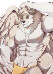  abs anthro armpit_hair biceps big_muscles big_pecs biped black_sclera body_hair canid canine canis chimera clothing curled_tail digitigrade domestic_dog dumbbell exercise fur hi_res horn husky kuplukkrim male mammal mane muscular muscular_anthro muscular_male navel neck_tuft nipples nordic_sled_dog pecs pubes solo spitz swimwear tan_body tan_fur tuft vann_(felwinn) weights wings 