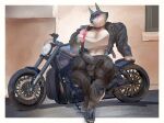anthro balls_outline big_breasts big_bulge big_penis biker boots bottomwear breasts bulge canid canine canis clothing container crossgender cup detailed_bulge drinking drinking_straw eyewear facial_piercing footwear ftg_crossgender fti_crossgender genital_outline genitals gynomorph holding_container holding_cup holding_object illumination_entertainment intersex jacket knee_pads leather leather_clothing leather_jacket leather_topwear looking_at_viewer male mammal midriff motorcycle muscular muscular_anthro muscular_gynomorph muscular_intersex navel navel_piercing nose_piercing nose_ring pants penis penis_outline piercing porsha_crystal ring_piercing shoes sing_(movie) solo spectrumshift sunglasses topwear vehicle wearing_sunglasses wolf