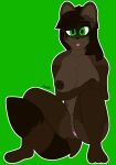  anthro areola big_tail blep breasts brown_areola brown_body brown_hair brown_nipples canid canine dark_areola facial_markings female genitals green_eyes gusta hair hands_on_knee head_markings hi_res hybrid mammal markings mask_(marking) nipples nude procyonid pussy raccoon raccoon_dog raquel_(raccoonuki) solo striped_markings striped_tail stripes tail_markings tanuki thick_thighs tongue tongue_out 