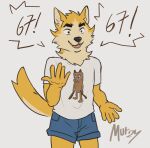 2026 67_(meme) animated animated_gif anthro black_eyebrows black_nose blue_bottomwear blue_clothing blue_shorts bodily_fluids bottomwear canid canine canis clothed clothing colored cooper_krager countershading digital_media_(artwork) eyebrows fangs happy inner_ear_fluff male mammal murizy open_mouth remember_the_flowers shirt short_playtime shorts six_seven smile snot solo tail tail_motion tailwag teeth tongue topwear tuft tung_tung_tung_sahur watermark white_clothing white_shirt white_topwear wolf