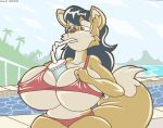 2019 anthro beach between_breasts beverage big_breasts bikini bikini_bottom bikini_top black_hair breasts brown_eyes canid canine canis clothing cloud container coyote cup digital_media_(artwork) drinking_straw female fur hair hands-free_bubble_tea huge_breasts june_coyote mammal meme multicolored_body multicolored_fur object_between_breasts palm_tree plant sand seaside sky solo swimming_pool swimwear tan_body tan_fur tree two-piece_swimsuit two_tone_body two_tone_fur virus-20 water