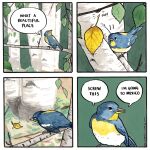 autumn avian beak bird blue_body blue_feathers comic english_text falseknees feathers feral forest humor leaf plant text tree 
