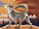 2025 4:3 absurd_res animal_genitalia animal_vulva anus black_anus black_vulva brown_body brown_fur butt canid canine canine_genitalia canine_vulva canis clothing cloud coyote dated fangs female female_feral feral fur genitals grey_body grey_fur hi_res jacket light light_beam mammal narrowed_eyes open_mouth outside paws quadruped red_tongue sage_(niffthefox) side_view signature sketchy_shelby sky solo sun sunbeam sunlight teeth tongue topwear vulva white_body white_fur year
