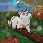 1:1 arthropod aurora_(phenomenon) autumn autumn_leaves beetle calico_cat cucujoid domestic_cat enamored falling_leaves felid feline felis feral garden hi_res insect jj_(thatcatjj) ladybug light male mammal moonlight night outside sky solo star starry_sky thatcatjj