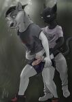 anal anal_penetration anthro brown_eyes canid canine canis clothing doggystyle domestic_cat duo ears_back excited felid feline felis forest from_behind_position genitals hat headgear headwear hi_res humanoid_genitalia looking_back looking_down looking_pleasured male mammal outside_sex penetration pivoted_ears plant sex tree wolf wolfyalex96