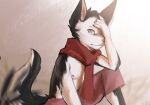  anthro black_body black_fur blurred_background canid canine canis clothing domestic_dog fur husky looking_at_viewer male mammal nordic_sled_dog red_clothing simple_background sitting solo spitz stampmats white_body white_fur yellow_eyes 