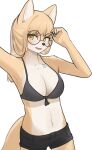  2022 5_fingers anthro bikini bikini_top black_nose blush bottomwear breasts canid canine claws cleavage clothed clothing countershading digital_media_(artwork) eyewear female female_anthro finger_claws fingers fox fur glasses hair hi_res jeifier kemono korfiorano long_hair looking_at_viewer mammal midriff multicolored_body multicolored_fur navel open_mouth open_smile portrait round_glasses selfie shorts simple_background smile smiling_at_viewer solo swimwear tan_body tan_fur tan_hair three-quarter_portrait two_tone_body two_tone_fur white_background white_body white_fur yellow_eyes 