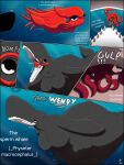 2026 3:4 absurd_res anthro anthro_pred anthro_prey aquatic black_eyes blue_background cephalopod cetacean cetacean_tail coleoid comic darkallo_1930 decapodiform duo english_text feet_first female female/female female_pred female_prey grey_arms grey_body grey_fin hi_res in_mouth mammal mollusk oral_vore orange_body orange_tentacles simple_background sperm_whale squid swallowing tentacles text toothed_whale vore watermark whale