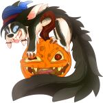 2014 aili_(crownedvictory) alpha_channel ambiguous_gender black_body black_fur black_nose blue_clothing blue_eyes blue_hat blue_headwear border_collie brown_claws canid canine canis claws clothing collie crownedvictory digital_drawing_(artwork) digital_media_(artwork) domestic_dog duo elemental_creature fangs feral flora_fauna fur great_dane grey_body grey_fur hat headgear headwear herding_dog jack-o'-lantern living_pumpkin mammal mastiff mixed_breed molosser orange_body outline pastoral_dog pawpads pink_pawpads pink_tongue plant red_eyes shaded sheepdog simple_background tail teeth tongue tongue_out transparent_background white_body white_fur white_outline witch_hat yellow_teeth