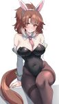  1girl absurdres ahoge animal_ears bare_shoulders between_breasts black_leotard black_pantyhose blush breasts brown_eyes brown_hair cleavage closed_mouth clothes_between_breasts commentary_request covered_navel dantsu_flame_(umamusume) detached_collar detached_sleeves ear_covers hair_between_eyes hairband heart highres horse_ears horse_girl horse_tail kibihimi large_breasts leotard looking_at_viewer multicolored_hair necktie necktie_between_breasts nontraditional_playboy_bunny pantyhose pink_necktie simple_background sitting smile solo strapless strapless_leotard sweat tail thighband_pantyhose umamusume white_background white_hair white_hairband 