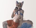  2019 abs anthro athletic athletic_anthro athletic_male blue_body blue_fur blue_hair blue_tail bottomwear canid canine cellphone cheek_tuft clothed clothing dated facial_tuft famir_(artist) fluffy fluffy_tail fox front_view fur green_eyes grey_body grey_fur grey_hair grey_tail hair holding_cellphone holding_object holding_phone holding_smartphone looking_at_viewer male mammal multicolored_hair navel open_mouth pecs phone red_bottomwear red_clothing red_shorts shorts shoulder_tuft signature sitting smartphone solo topless tuft two_tone_hair white_body white_fur 