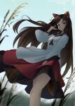  1girl animal_ears bangs bare_legs between_breasts black_hair black_skirt blurry blurry_background blurry_foreground breasts brooch brown_hair cloud cowboy_shot dress feet_out_of_frame field floating_hair from_below highres imaizumi_kagerou jewelry kanpa_(campagne_9) layered_dress long_hair long_sleeves looking_at_viewer monster_girl outdoors parted_lips plant red_eyes red_skirt ruffling_hair skirt sky small_breasts solo swept_bangs tail touhou very_long_hair white_dress wide_sleeves wolf_ears wolf_tail 