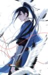  1boy all_wishes_come_true! arm_wrap bird black_hair black_pants black_sash blue_hanfu blurry blurry_background blurry_foreground brown_eyes chinese_clothes closed_mouth commentary crane_(animal) depth_of_field falling_feathers feathers floating_hair hanfu high_ponytail highres holding holding_sword holding_weapon jian_(weapon) layered_sleeves light_particles long_hair long_sleeves looking_at_viewer looking_back lv_dongbin_(all_wishes_come_true!) male_focus motion_blur pants ponytail profile rexcassday sash short_over_long_sleeves short_sleeves sidelocks simple_background solo standing string string_of_fate sword untranslatable_commentary very_long_hair weapon white_background yaopei 