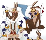 anthro asphyxiation avian bird canid canine canis choking coyote cuculiform duo eye_contact eyes_closed heart_symbol hi_res looking_at_another looney_tunes male male/male mammal neck_grab new_world_ground_cuckoo nuzzling polilla road_runner_(looney_tunes) roadrunner sitting thought_bubble tongue tongue_out warner_brothers wile_e._coyote