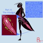 ambiguous_gender ambiguous_prey anatomical_diagram anthro arthropod big_breasts breasts duo english_text eyelashes fangs female female_pred feral flightlesslizard guts hands_on_hips insect inside_stomach internal intestines mantis multiple_stomachs onomatopoeia organs silhouette silhouetted_body sound_effects teeth text thin_arms thin_legs tongue uvula vore