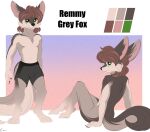  absurd_res anthro boxers_(clothing) brown_body brown_fur canid canine claws clothing conrie fox fur green_eyes hi_res male mammal non_nude solo swift_paw_(remmy4warlord) underwear 