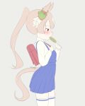  1girl absurdres aged_down animal_ears backpack bag blue_dress blush brown_eyes brown_hair candy child collared_shirt commentary_request cowboy_shot double-parted_bangs dress ear_ornament ear_ribbon eating flat_color food from_side grey_background hair_between_eyes high_ponytail highres holding holding_candy holding_food holding_lollipop holding_strap horse_ears horse_girl horse_tail lollipop long_hair long_sleeves looking_ahead multicolored_hair patterned_hair pinafore_dress pleated_dress ponytail randoseru red_bag reyzha7 satono_diamond_(umamusume) school_uniform shirt signature simple_background sleeveless sleeveless_dress solo streaked_hair swirl_lollipop tail thighhighs umamusume white_shirt zettai_ryouiki 
