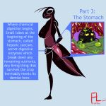 acid_spouts ambiguous_gender ambiguous_prey anatomical_diagram anthro arthropod big_breasts bodily_fluids breasts bruised bruised_face bubbling_acid digestion_implied duo english_text eyelashes fangs female female_pred feral flightlesslizard fly_(animal) hands_on_hips insect inside_stomach internal mantis messy_stomach multiple_stomachs silhouette silhouetted_body slime stomach_acid stomach_acid_drip teeth text thin_arms thin_legs tongue uvula vore