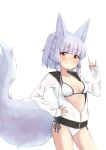  1girl animal_ear_fluff animal_ears arm_up bikini bikini_under_clothes blush breasts brown_eyes fox_ears fox_girl fox_shadow_puppet fox_tail grey_hair grin hand_on_hip highres jacket kuramoto_takato long_hair no_pants open_clothes open_jacket original ponytail riko_(machikado_mazoku) shadow_puppet side-tie_bikini_bottom simple_background smile solo swimsuit tail thighs white_background white_bikini white_jacket 