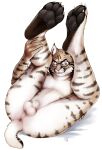 2026 4_toes 5_fingers animal_genitalia anthro anus arm_markings arm_tuft balls bedroom_eyes bite biting_lip biting_own_lip black_pawpads blue_eyes bobcat brown_body brown_fur brown_stripes butt cheek_tuft claws elbow_tuft european_wildcat eyewear facial_markings facial_tuft feet felid feline feline_genitalia felis fingers fully_sheathed fur genitals glasses head_markings head_tuft hi_res holding_leg holding_leg_up holding_own_leg hybrid inner_ear_fluff jasper_kinney leg_markings legs_up looking_offscreen looking_sideways lying lynx male male_anthro mammal markings moodyferret narrowed_eyes nude nude_anthro nude_male on_back pawpads pink_nose plantigrade_pawpads pointy_ears presenting presenting_anus presenting_hindquarters seductive self_bite shaded shadow sheath short_tail signature simple_background solo spots spotted_body spotted_face spotted_fur striped_arms striped_body striped_face striped_fur striped_legs striped_markings striped_tail striped_thighs stripes tail tail_markings tan_body tan_fur teeth teeth_showing thigh_markings toes toothy_grin tuft wearing_glasses whiskers white_background white_body white_claws white_fur white_inner_ear_fluff wildcat