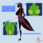 after_vore ambiguous_gender ambiguous_prey anatomical_diagram anthro arthropod big_breasts breasts duo english_text eyelashes fangs female female_pred feral flightlesslizard genitals hands_on_hips insect internal mantis multiple_stomachs nipples silhouette silhouetted_body slime teeth text thin_arms thin_legs tongue uvula vore vulva weight_gain