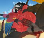 anthro aquatic ara_(genus) avian balls beach beak big_balls big_breasts big_penis big_teeth bird black_hair black_tongue breasts diana_(sungerart) duo facial_hair female female_penetrated fin fish genitals green_eyes hair hi_res huge_breasts huge_penis macaw male male/female male_penetrating male_penetrating_female motion_lines muscular muscular_anthro muscular_male neotropical_parrot non-mammal_breasts parrot penetration penis piercing scarlet_macaw sea seaside sex shark sharp_teeth sungerart tail tail_fin teeth tongue tongue_piercing true_parrot water