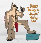 2026 abs animal_genitalia animal_penis anthro armpit_hair aroused balls bedroom_eyes belly_hair belly_tuft biceps big_balls big_muscles big_nipples big_pecs big_penis biped bodily_fluids body_hair broad_shoulders brown_body brown_fur canid canine canine_genitalia canine_penis canis chest_hair claws dialogue dripping erection full-length_portrait fur genital_fluids genitals gesture grin hairy hand_gesture happy_trail knot knotted_penis kodiff_wolff leaking_precum long_penis male mammal mature_anthro mature_male muscular muscular_anthro muscular_male narrowed_eyes nipple_piercing nipples nude nude_anthro nude_female pecs penis piercing pink_nipples portrait precum precum_drip precum_on_penis precum_string presenting pubes raised_leg red_penis red_rocket seductive simple_background smile smug solo standing tan_body tan_fur text thick_penis thumbs_up tuft wet wet_penis wolf