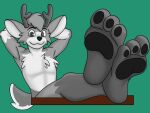  anthro antlers belly cervid delta_(deltadeer8) feet foot_fetish foot_focus fur grey_body grey_fur hi_res horn looking_at_viewer male mammal pawpads paws presenting scut_tail short_tail sitting solo unknown_artist white_belly white_body white_fur 
