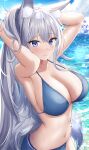  1girl absurdres animal_ears arms_up azur_lane bangs bikini blue_bikini blue_eyes blush breasts cleavage closed_mouth day fox_ears fox_girl fox_tail grey_hair highres jyu-so large_breasts long_hair looking_at_viewer outdoors parted_lips shinano_(azur_lane) smile solo stomach swimsuit tail water wet 