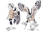  1boy akaashi_keiji animal_feet anklet artist_name ball bandaid bandaid_on_cheek bandaid_on_face bird_legs bird_wings brown_eyes brown_shirt child closed_mouth feathered_wings flying full_body haikyuu!! harpy_boy holding holding_ball jewelry looking_at_object looking_down looking_to_the_side male_focus monochrome monster_boy monsterification multiple_views natsu_(rodysanp) shirt short_hair short_sleeves shorts signature simple_background standing talons very_short_hair volleyball white_background wings 