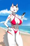  anthro arctic_fox beach canid canine cellphone clock clothing ear_piercing female fox hi_res mammal multicolored_eyes phone piercing seaside smartphone smartwatch solo swimwear tattoo treniea watch 